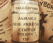 Jamaica Blue Mountain Wallenford