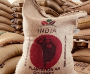 Plantation AA Gourmet Bindi