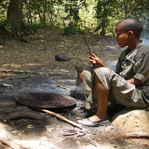 Etiopia Sidamo Adey