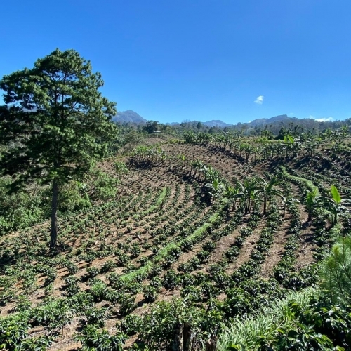 Nicaragua SHG EP 18