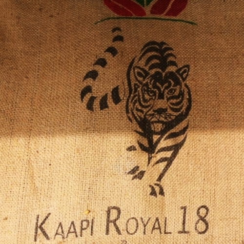 India Kaapi Royal 18 