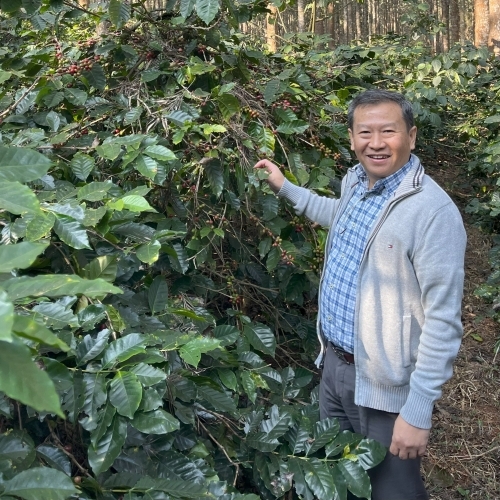 Myanmar Taw Natural